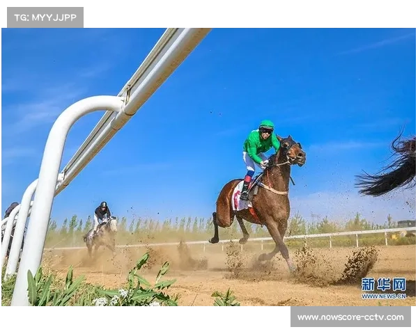 中国马主联盟国际锦标十四骏同场角逐尽显速度与激情